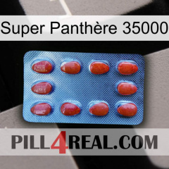 Super Panthère 35000 06